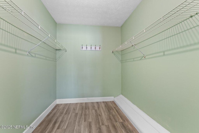 spacious closet with hardwood / wood-style floors