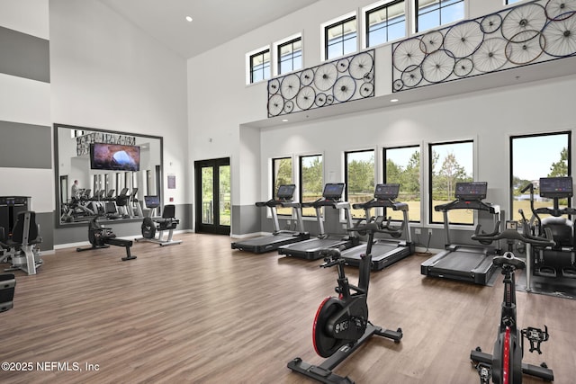 exercise room featuring wood-type flooring and a high ceiling