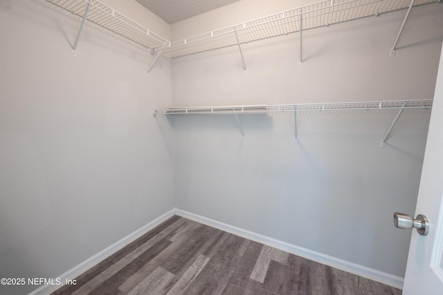 spacious closet featuring hardwood / wood-style floors