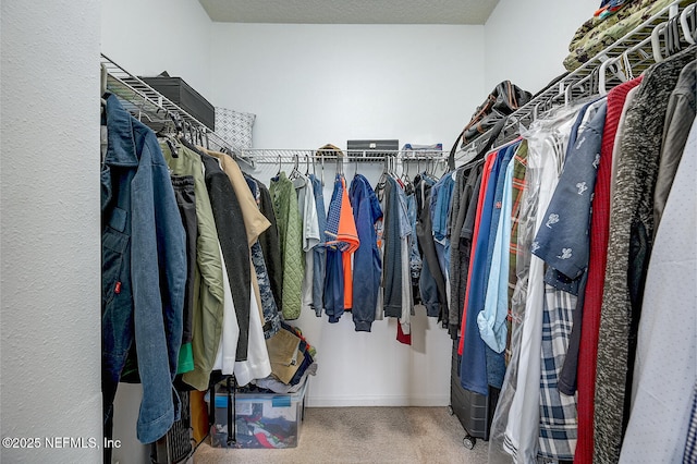 spacious closet with carpet floors