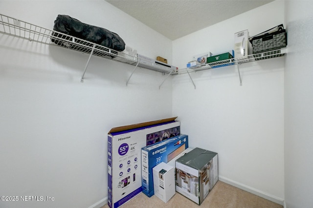 spacious closet with carpet floors