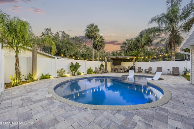 view of swimming pool with a patio area and exterior bar