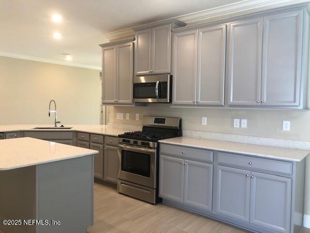 kitchen featuring sink, light hardwood / wood-style flooring, kitchen peninsula, appliances with stainless steel finishes, and ornamental molding