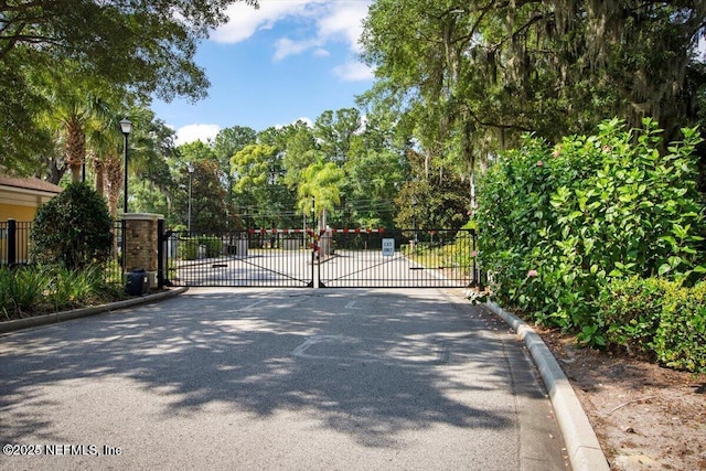 view of road with curbs, street lighting, a gated entry, and a gate