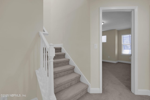 staircase featuring carpet flooring