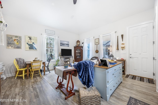 living room with light hardwood / wood-style flooring