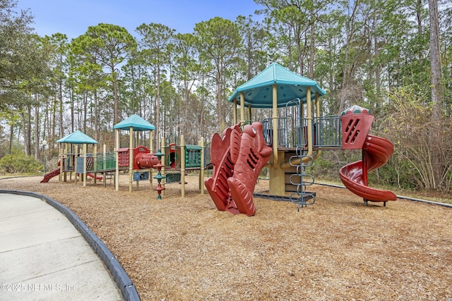 view of jungle gym