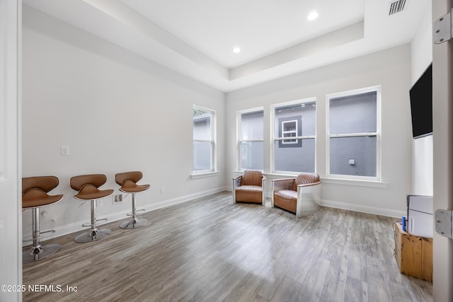 living area with light hardwood / wood-style floors and a raised ceiling