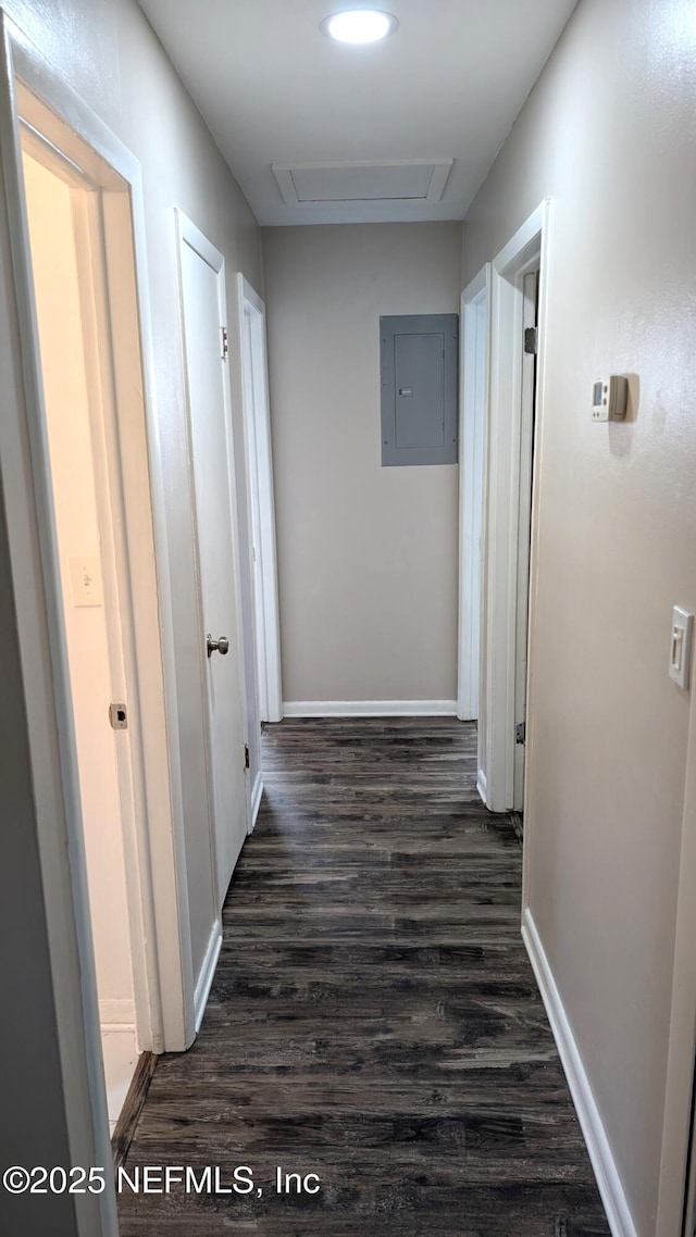 hall featuring electric panel and dark hardwood / wood-style flooring