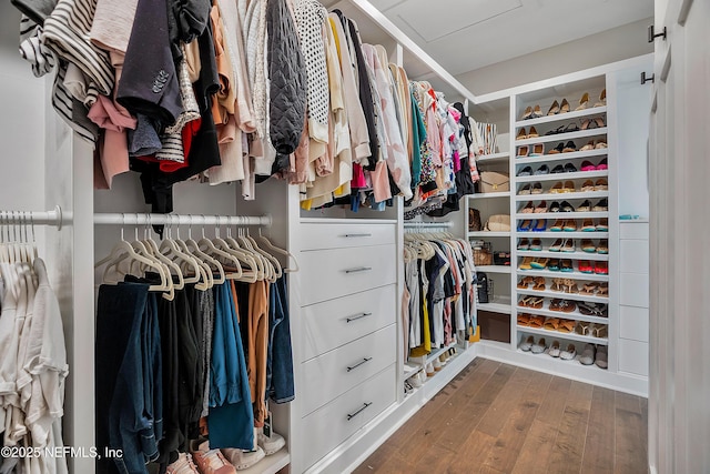 spacious closet with hardwood / wood-style flooring