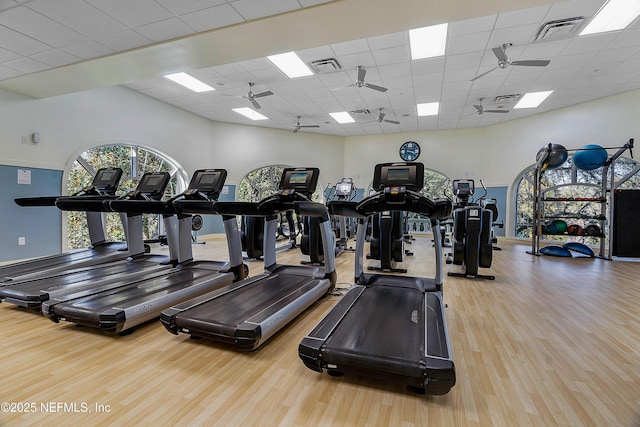 workout area with a paneled ceiling and hardwood / wood-style flooring