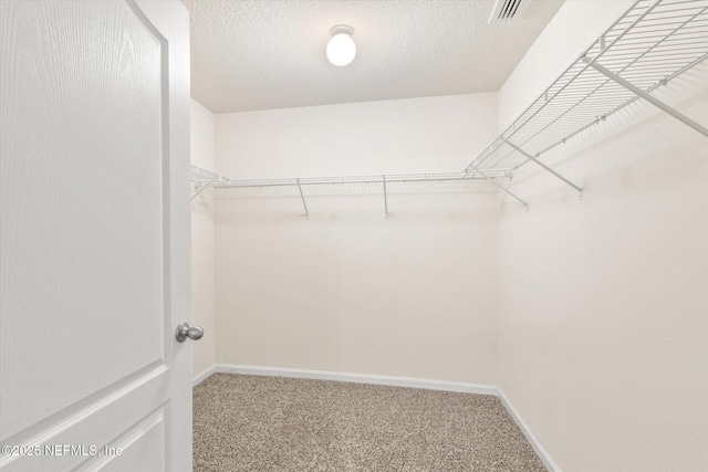 walk in closet featuring carpet floors