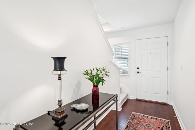 foyer entrance featuring dark hardwood / wood-style flooring