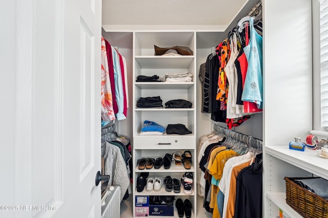 view of spacious closet