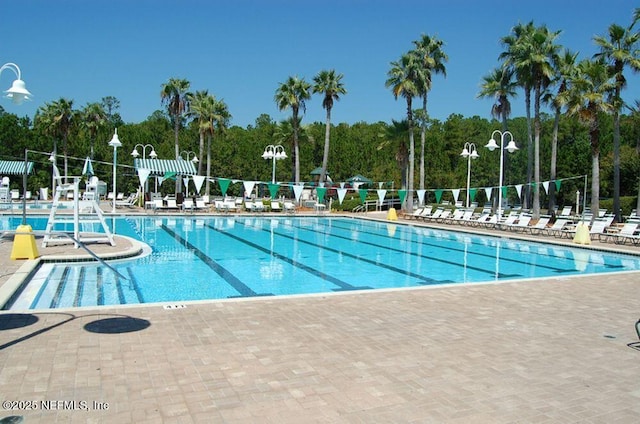 view of swimming pool