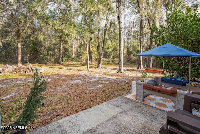 view of yard featuring a patio