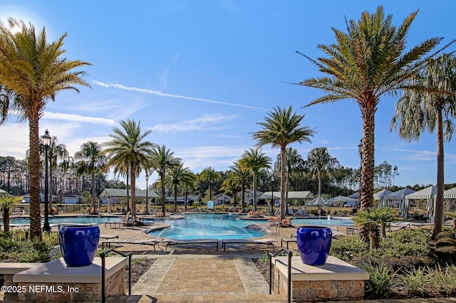 view of pool with a patio