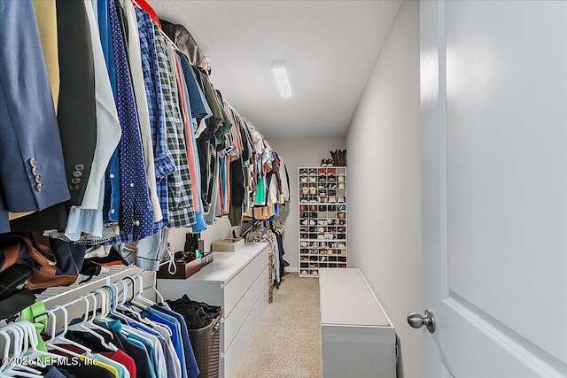 spacious closet with carpet flooring