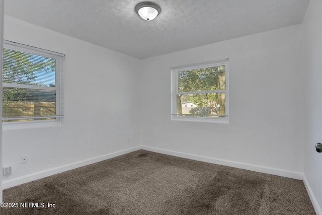 empty room featuring carpet floors and a textured ceiling