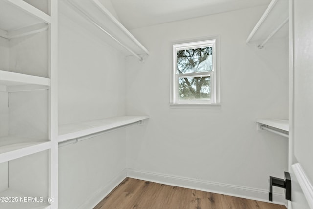 spacious closet with hardwood / wood-style floors