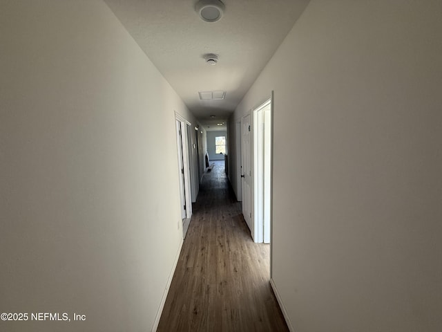 corridor with dark hardwood / wood-style flooring