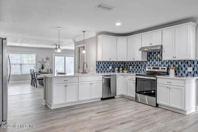 kitchen featuring kitchen peninsula, pendant lighting, light wood-type flooring, appliances with stainless steel finishes, and sink