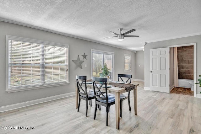 dining space with a textured ceiling, ceiling fan, crown molding, and light hardwood / wood-style flooring