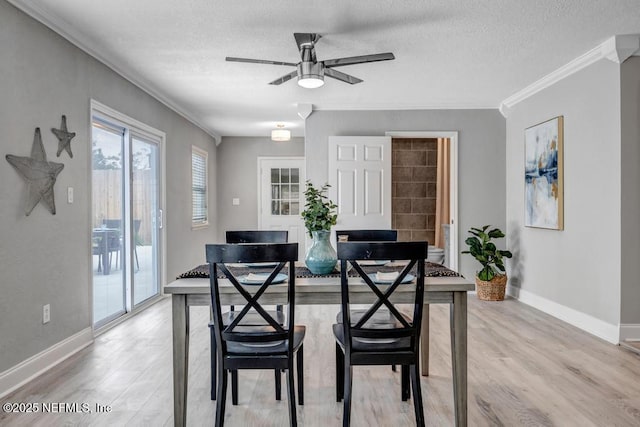 dining room with a textured ceiling, ornamental molding, ceiling fan, and light hardwood / wood-style flooring