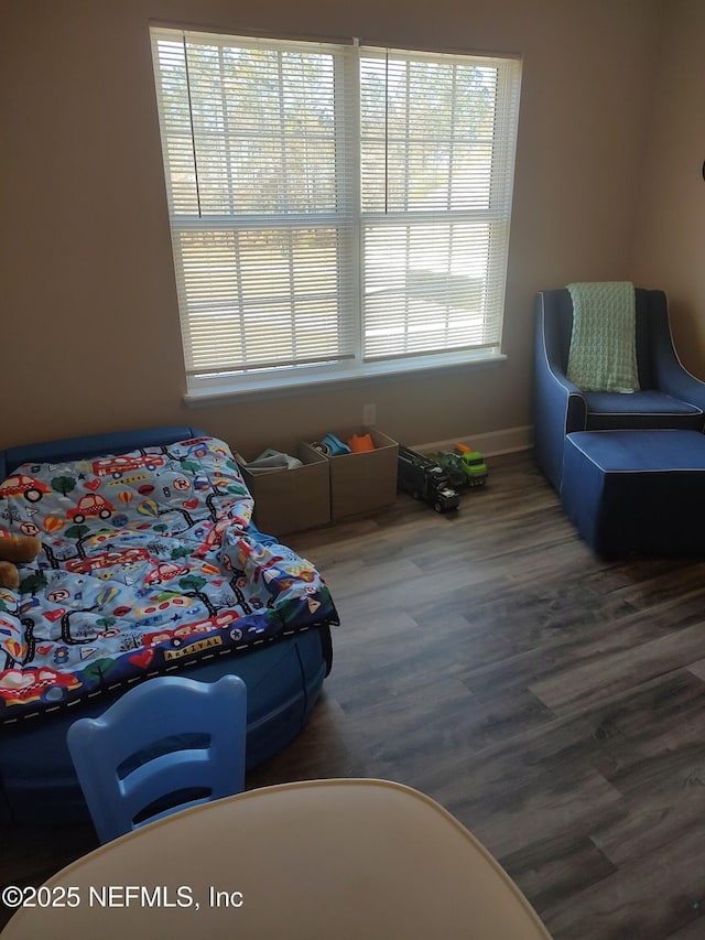 bedroom with wood-type flooring