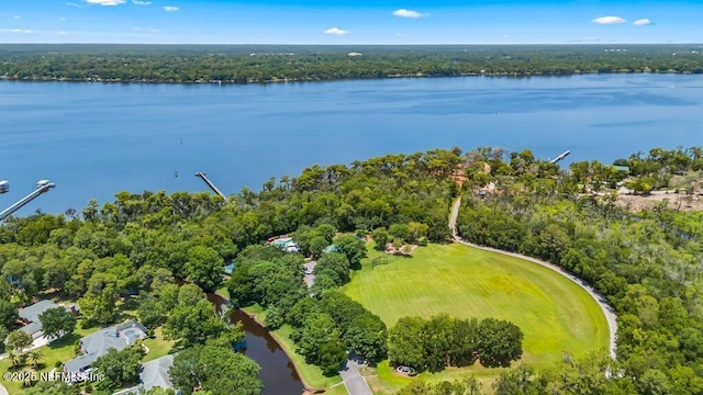 1814 Royal Fern Ln, Fleming Island, FL 32003 - view of property location with a large body of water