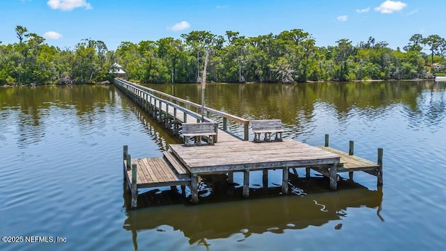 1814 Royal Fern Ln, Fleming Island, FL 32003 - dock area featuring a water view and a view of trees