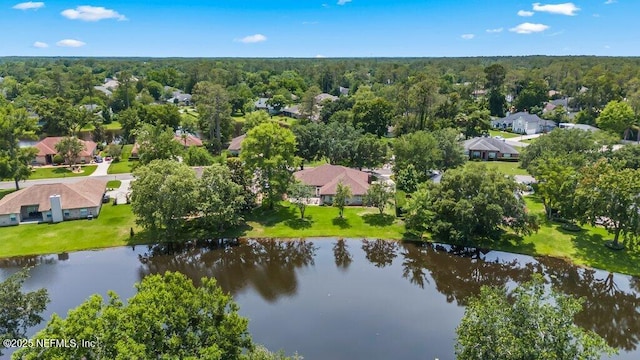 1814 Royal Fern Ln, Fleming Island, FL 32003 - aerial view of residential area featuring a large body of water and a heavily wooded area