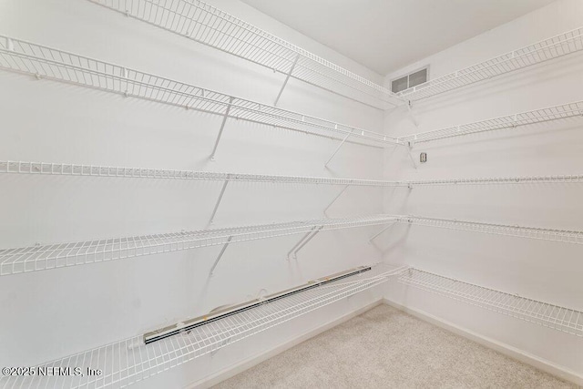 1814 Royal Fern Ln, Fleming Island, FL 32003 - spacious closet with carpet floors