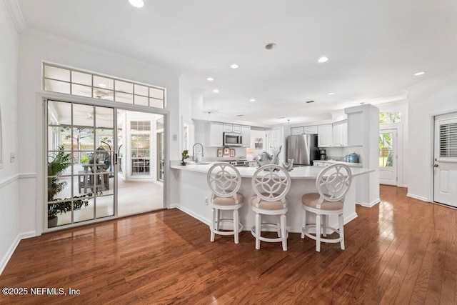 1814 Royal Fern Ln, Fleming Island, FL 32003 - kitchen with appliances with stainless steel finishes, light countertops, recessed lighting, ornamental molding, and a peninsula