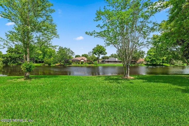 1814 Royal Fern Ln, Fleming Island, FL 32003 - water view