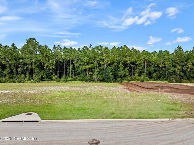 680 Mahogany Run, Palm Coast FL, 32137 land for sale