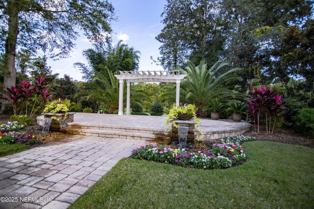 view of yard featuring a patio and a pergola