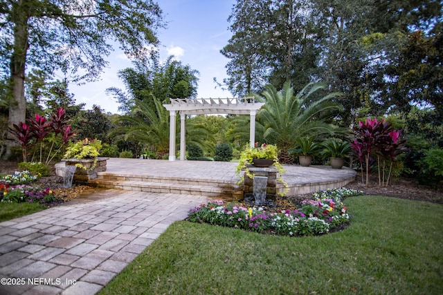 view of yard featuring a patio and a pergola