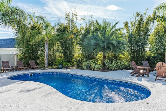 view of pool featuring a patio area