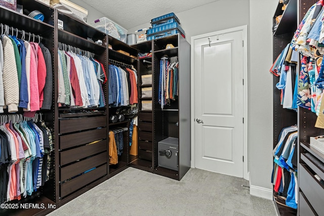 spacious closet with carpet