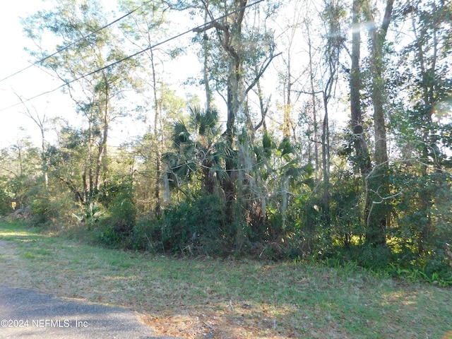 Listing photo 3 for 0 Lakemar Pl, Jacksonville FL 32208