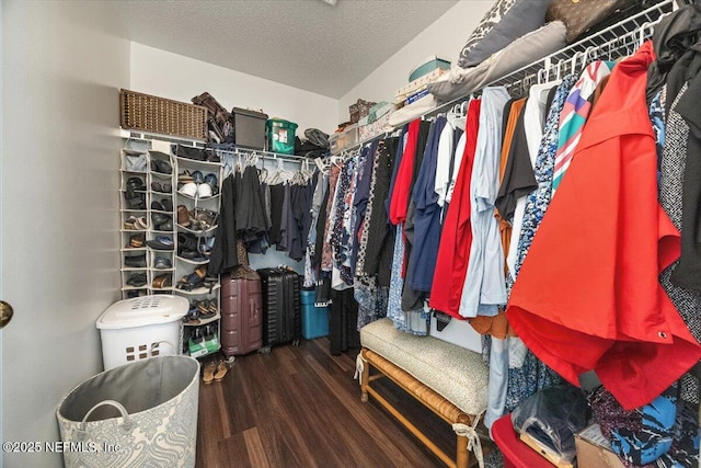 spacious closet featuring wood-type flooring