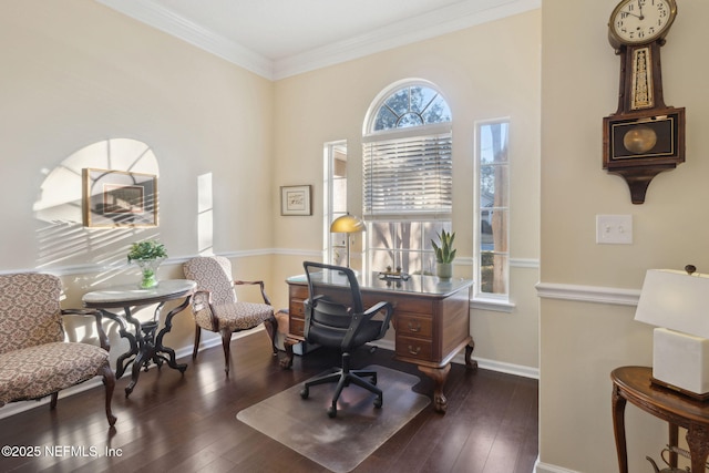 office space with dark hardwood / wood-style floors and ornamental molding