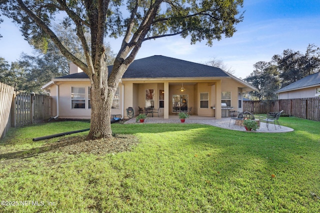 back of house featuring a patio and a lawn