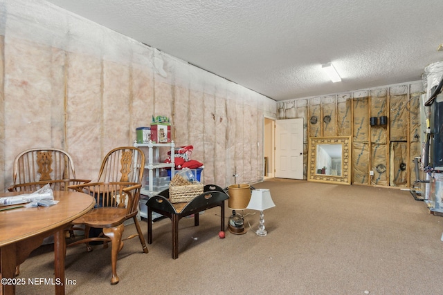 basement with a textured ceiling