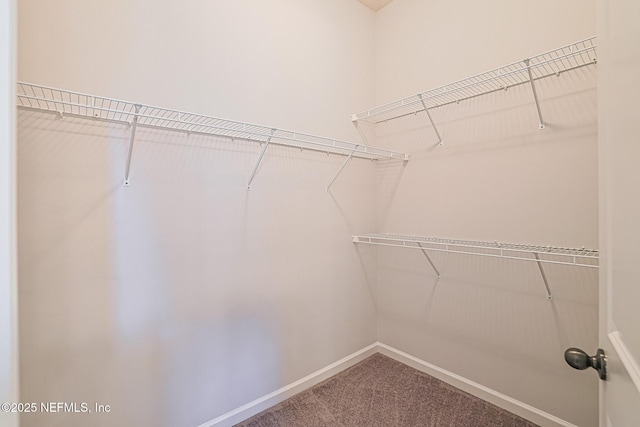 spacious closet with carpet