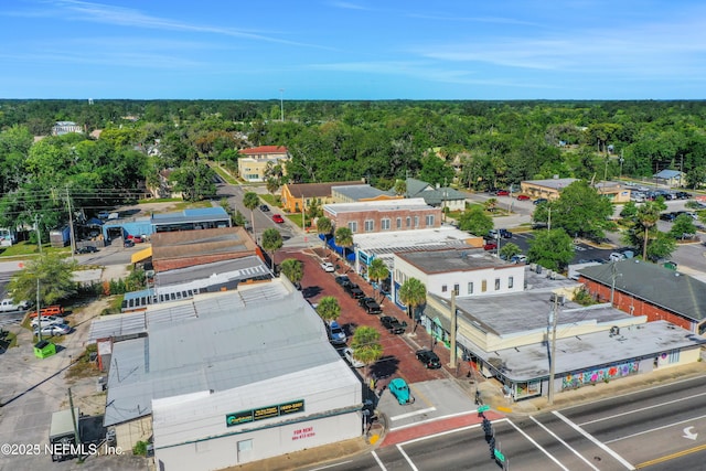 bird's eye view