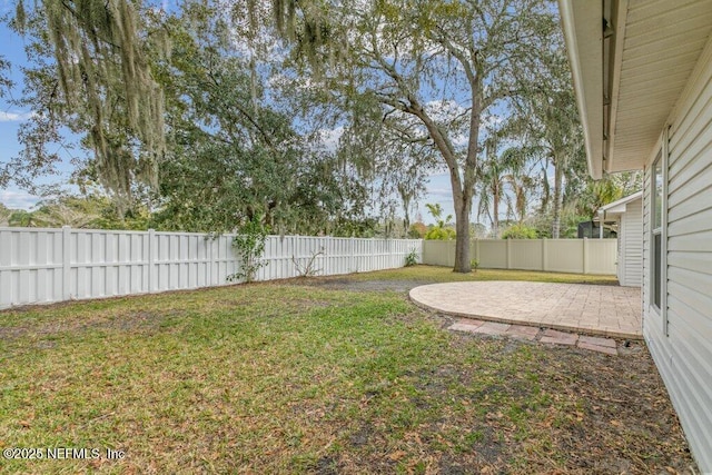 view of yard featuring a patio area