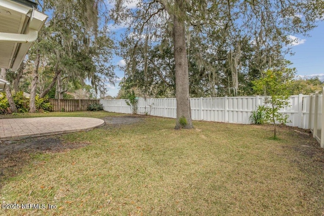 view of yard featuring a patio area