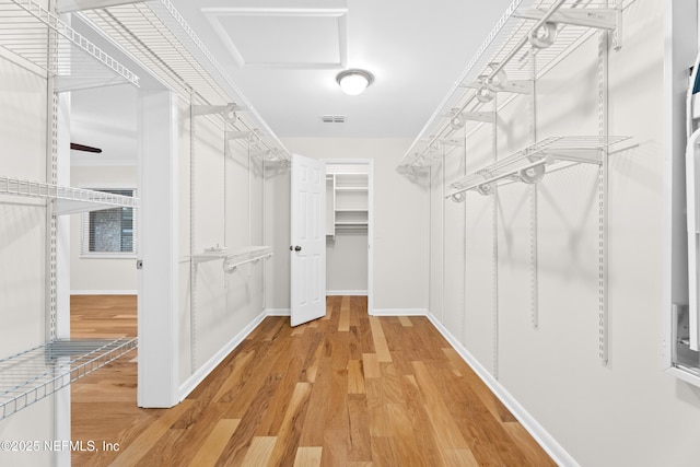 spacious closet with light hardwood / wood-style flooring